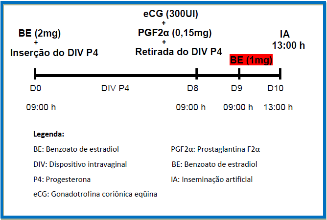 34 ecg (300UI) + PGF2α (0,15mg) + CE (1mg) CE (1mg) + + Retirada do DIV P 4 Figura 5 Representação esquemática dos protocolos de sincronização da ovulação e do momento das inseminações de novilhas