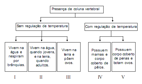 48- (UFT-TO) Analise este esquema, em que está representada uma possível classificação de animais vertebrados: Considerando-se as informações desse esquema