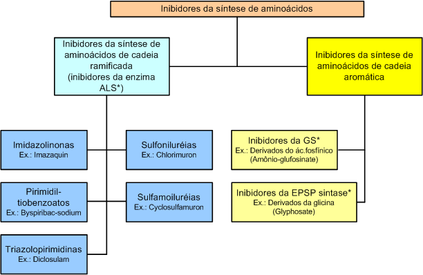 170 Oliveira Jr. Figura 5.