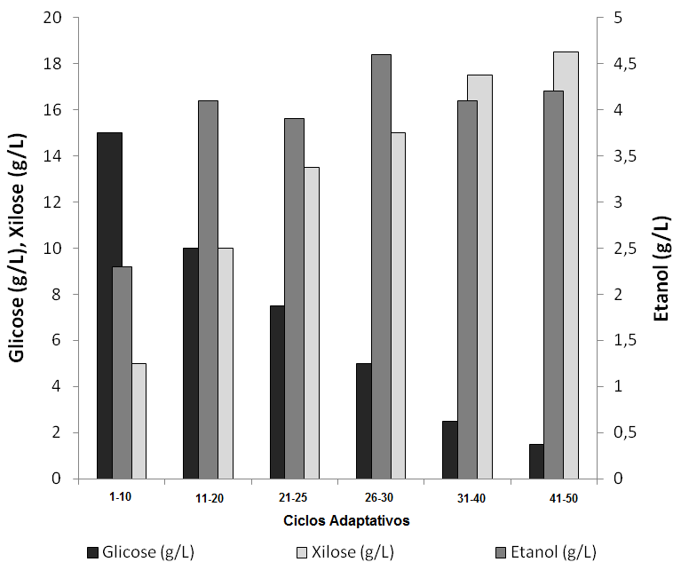 CAPÍTULO 5: Resultados e Discussões 152 Tabela 5.17. Comparação das variáveis de resposta entre diferentes etapas de adaptação metabólica.