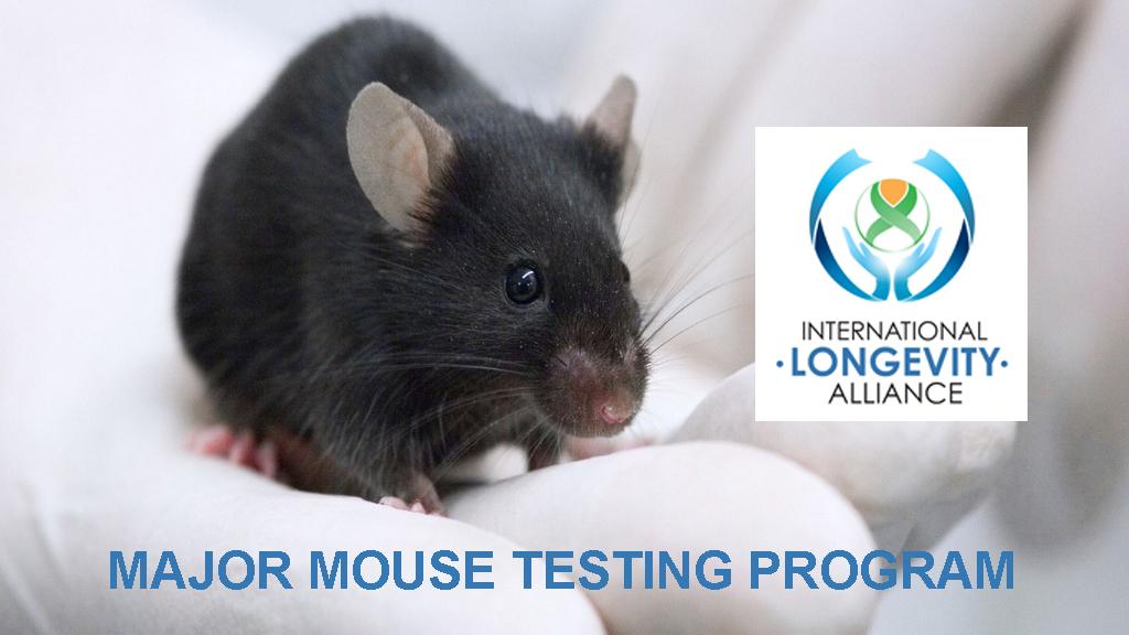 Major Mouse Testing Program: Longévité Santé Longevity 10/03/2015 Mapeando efeitos a longo prazo na saúde: Teste