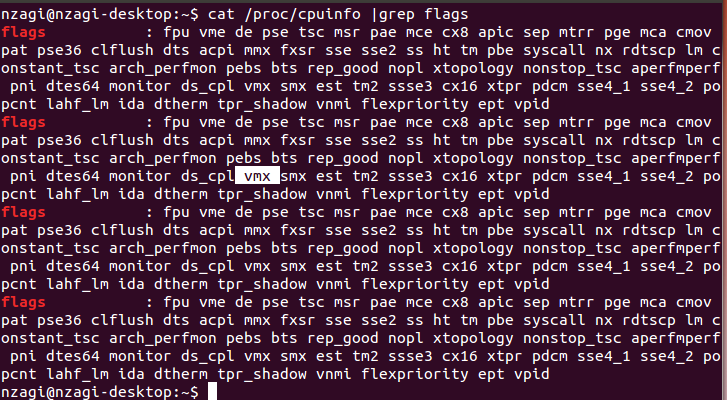 59 Anexo XI: Identificação do processador Intel VT em Linux Terminal Linux mostrando a linha de comando para obter informações sobre processador com