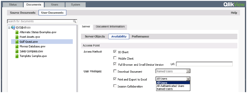 Administrar as aplicações criadas pelo QlikView Desktop; Administrar o servidor de aplicação; Gerenciar as licenças de usuários; Gerenciar as permissões de acesso.