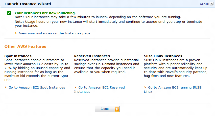 Uma caixa de diálogo final é apresentada. Clique no link View your instances on the Instances page para ser levado ao console de gerenciamento das instâncias EC2.