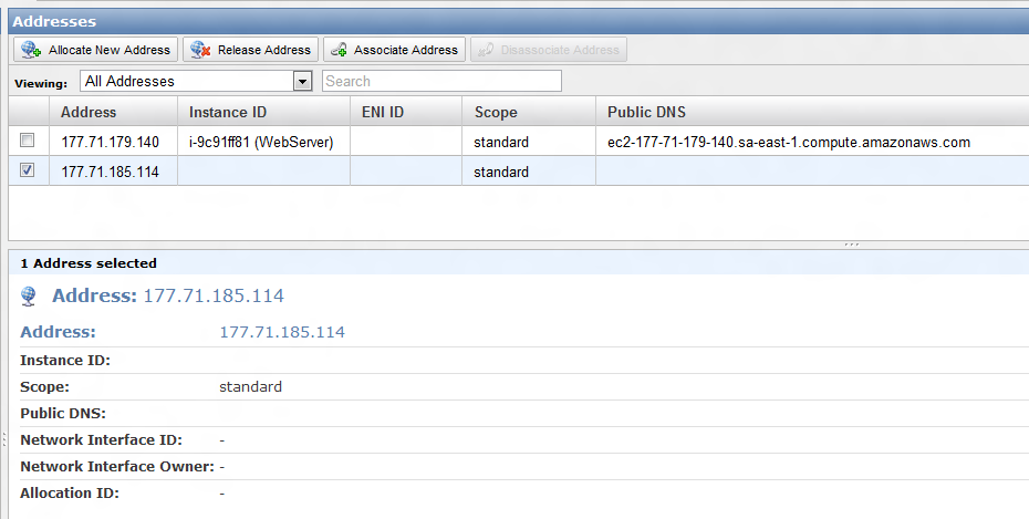 a melhor opção é o Private DNS, tanto pelo melhor desempenho, quando para evitar a cobrança da transferência de dados. Mas não se preocupe com isso agora. Isto não será objeto deste tutorial.