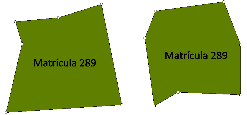 3 Imóvel Rural 3 IMÓVEL RURAL O imóvel rural a ser considerado nos serviços de georreferenciamento é aquele objeto do título de domínio, bem como aquele passível de titulação, conforme detalhado nos