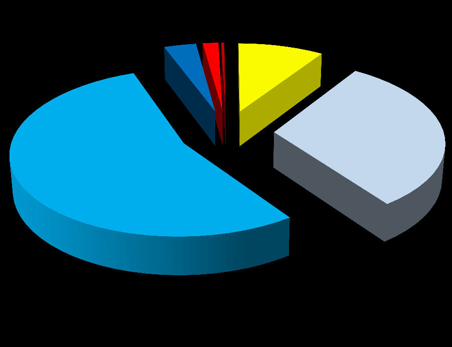 BI-RADS 1 9,27% 30,87% BI-RADS 2 54,21% BI-RADS 3 3,47%