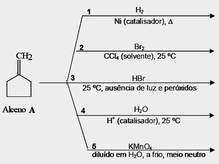 Este inseto possui glândulas na extremidade do seu abdômen, as quais contêm dois compartimentos.