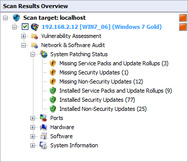 Captura de tela 87: O nó Network & Software Audit Clique em Network & Software Audit para exibir as vulnerabilidades de segurança identificadas nos destinos verificados.