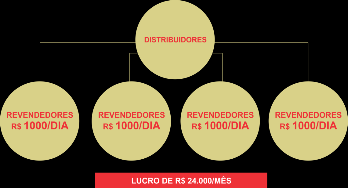 2- Distribuidores Exclusivo para distribuidores 20% sobre as vendas dos