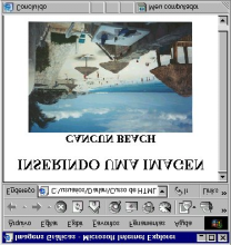 IMAGENS GRÁFICAS Atualmente a maioria dos browsers exibe imagens, porém não é qualquer tipo de arquivo imagem que deve ser inserido em HTML. Os formatos mais aceitos na WEB são GIF e JPEG.