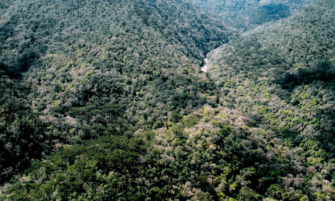 Quarta-feira foi o dia da caça Por Marcos Sá Corrêa (*) - Notícias AOL - 28.10.2004 A liminar que esta semana paralisou a Trata-se de um relatório de impacto ambiental.