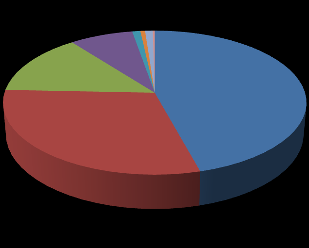 CHAMADOS ATENDIDOS ANO 2010 6% 1% 0% 10% 0% 0% Problemas de Hardware Problemas de Software Acesso a Rede 23% 60% Problema de Sistema Solicitação de Equipamentos para Evento Remanejamento Cabeamento