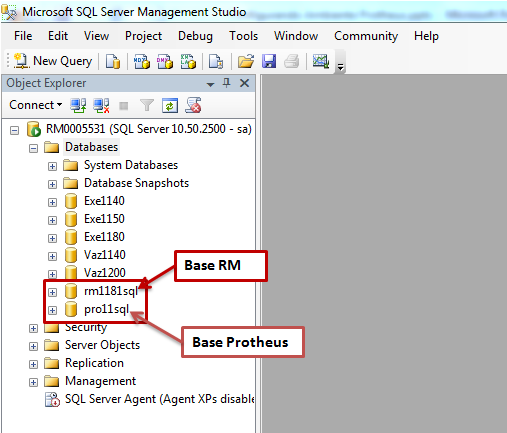 3.1.1 Configurando Banco SQL São necessárias duas bases, uma para o RM e outra para o Protheus. Para o RM, restaure e configure a base desejada normalmente.