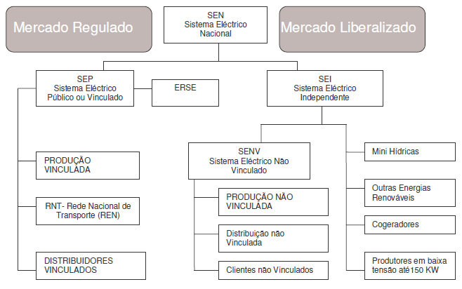 A liberalização do sector tem origem com a transposição para a legislação portuguesa da directiva 96/92/CE.