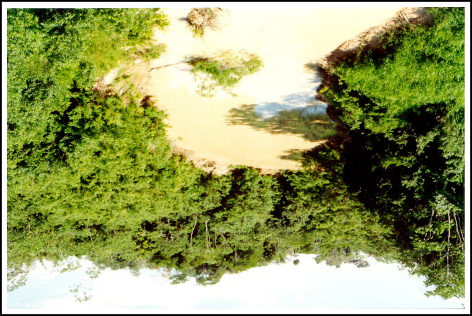 Resultados e Discussão 56 FIGURA 13 - Foto do Riozinho do Rola, ressaltando a cor característica dos "rios de água branca" da Amazônia.