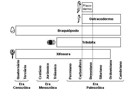 Depois de consumir todo o verde, de volta ao estado selvagem, os porcos passaram a devorar qualquer coisa: ovos de tartarugas, de aves marinhas, caranguejos e até cabritos pequenos.