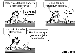 c) deve-se valorizar o equilíbrio do meio ambiente, ignorando-se os conflitos gerados pelo uso da terra e seus recursos.