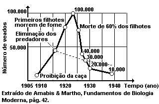 185 b) Somente as afirmativas III e IV estão corretas. c) Somente as afirmativas I, II e V estão corretas. d) Somente as afirmativas II, III, IV e V estão corretas.