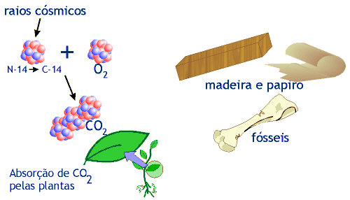 DATAÇÃO POR CARBONO-14 O C-14 resulta da absorção contínua dos nêutrons dos raios cósmicos pelos átomos de nitrogênio nas altas camadas da atmosfera.