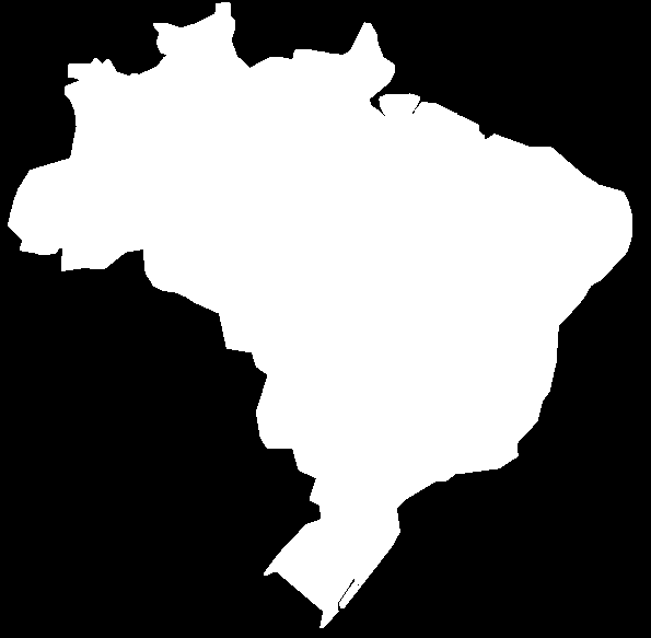 Posicionamento no Brasil Líder de mercado Mais de 80 distribuidores na América do Sul Target: