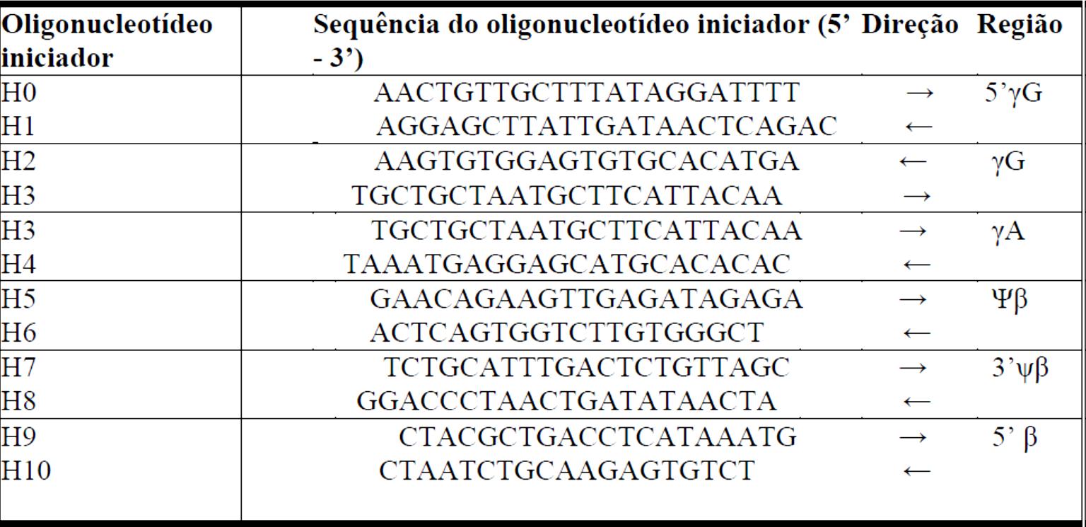 54 Análise dos Haplótipos β S (SUTTON et al.