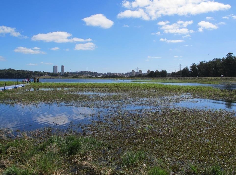 Água@ SP