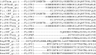 Uso do PROV-Wf SELECT f1.name, v1.value, f2.name, v2.value FROM workflow w, activity a, executeactivity ea, relationschema rs, relation r, field f1, field f2, Value v1, Value v2 WHERE a.wkf_id = w.