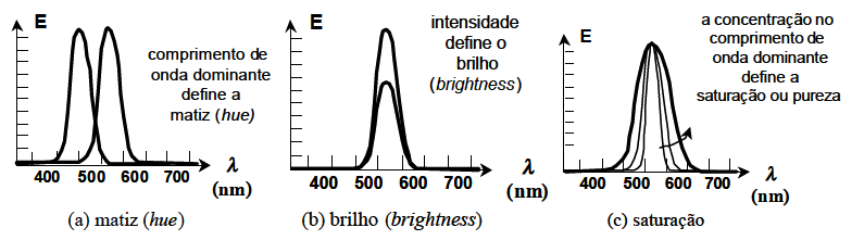 31 utilizado o termo automatização, que... implica técnicas diversas de coleta, armazenamento, processamento e transmissão de informações [.