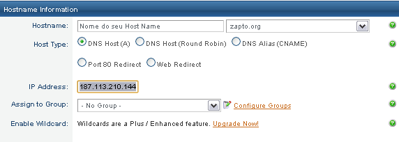6ª Clique em Hosts/ Redirects ; 7ªNesta tela irão aparecer seus hosts criados e a opção para criar um novo host.