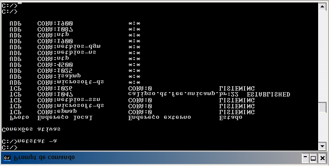 A.8 netstat Corá, M.A.A. Figura A.