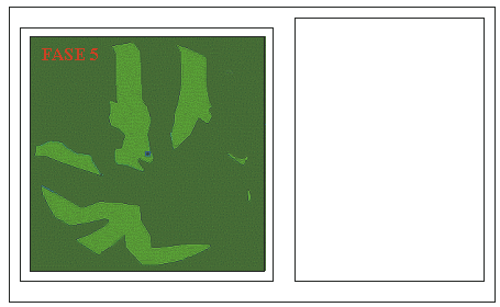 CAPÍTULO 2 FASE 3: Mapa resultante da superposição da Fase 2. Resultado: as áreas em verde claro são aquelas que ainda permanecem candidatas a depósito de lixo.
