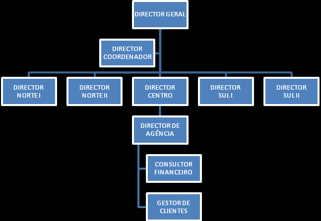 Organograma Institucional De seguida, podemos ver o organograma da Empresa DS. Nele podemos ver qual a base da Empresa e como a mesma se estrutura.