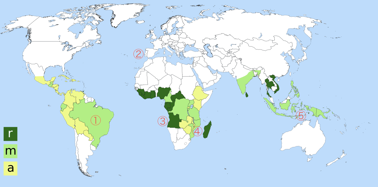 DCL PO 06/12 02 Dossier documentaire Page 3 sur 8 Document 2 : «Mapa dos países produtores de café e dos países lusófonos» http://fr.wikipedia.org/wiki/fichier:carte_coffea_robusta_arabic.