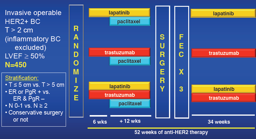 Trastuzumab & Lapatininb Baselga J et al.