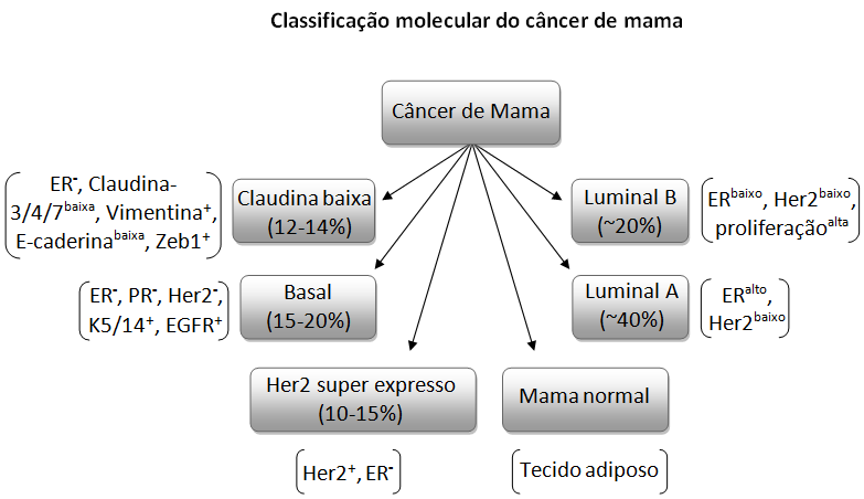 4 Figura 2 - Classificação dos subtipos moleculares do câncer de mama.