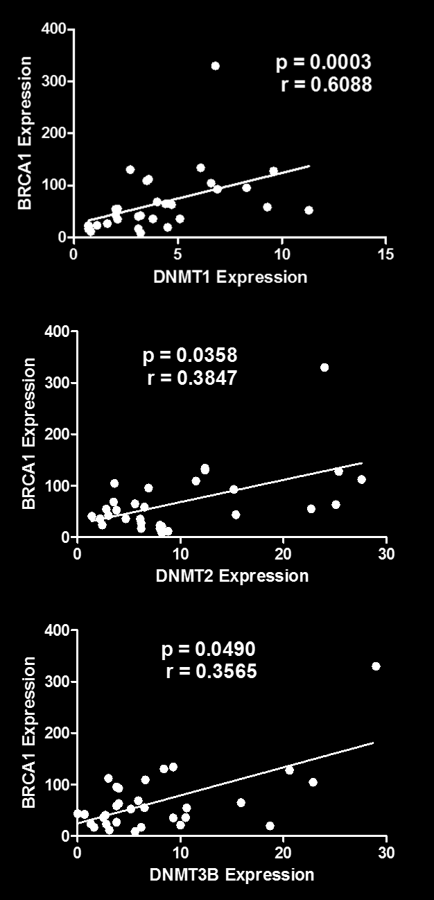 59 Figure 4: Correlation between BRCA1 with