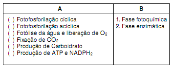 33- (UFT-TO) Relacione os eventos exemplificados na coluna A com as fases da fotossíntese descritas na coluna B.