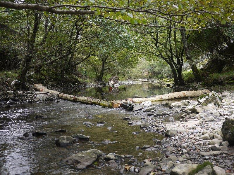 Caracterización morfológica Tras esta dura prueba de estabilidad, y mediante instalación de estaciones de control topográfico, aguas arriba y aguas abajo de cada estructura, se han podido constatar