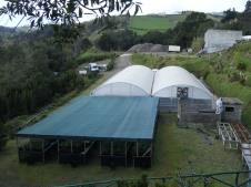 facultar um espaço para a realização do estudo. Esta decisão foi influenciada pelo fato de eu estar a trabalhar e a residir na Povoação, local onde está instalado o viveiro em questão.