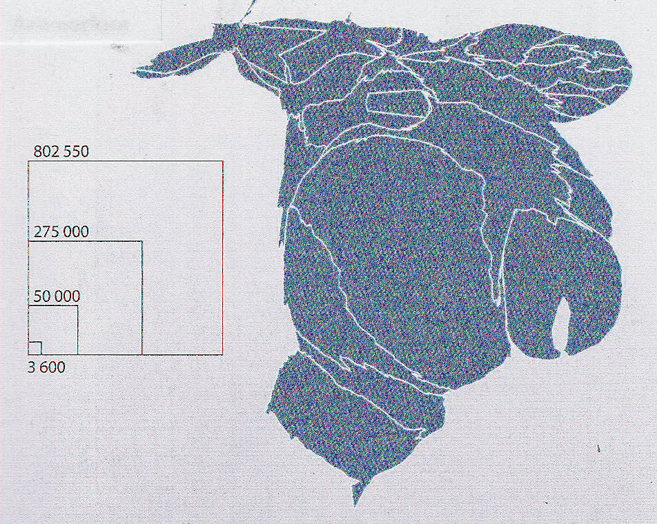 CIências humanas e suas tecnologias Questão 88 PIB por estado brasileiro, 2006 (em bilhões de reais) Figura A Figura B 802 550 275 000 Benoît Martin, jan. 50 000 3 600 Fonte: IBGE (www.ibge.gov.br).