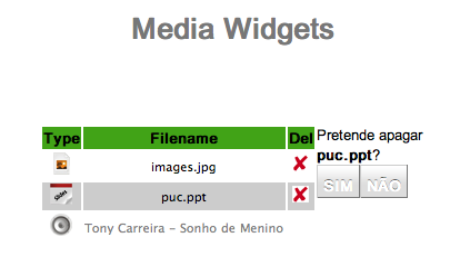 As imagens que se seguem ilustram as janelas de confirmação dos dois widgets, relativamente aos ficheiro images.jpg e puc.ppt.