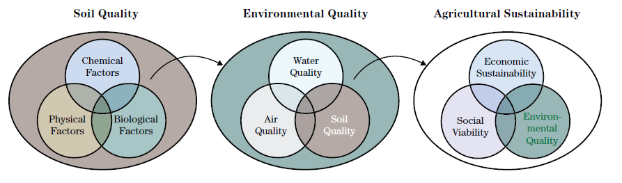 34 nutricional às plantas, além de atuar na adsorção de contaminantes. Em solos arenosos a capacidade de adsorção é baixa, devido à baixa reação da CTC, o que já não ocorre em solos argilosos.