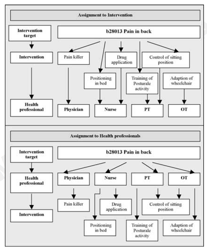 ANEXO IV ICF Assignment Map