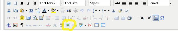 6- Você também pode colocar outras imagens no corpo do texto. Na barra superior do editor, clique no ícone Insert/ Edit image ( ).
