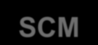 INTRAGOV 4 - SCM Serviço de Comunicação Multimídia PE PE PE - X PE - Y Backbone IP/MPLS CE CE-A CE-B CE-A CE-B CE Unidade da - Y SCM sem