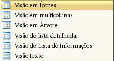 ˆ Clique em Ver / Tamanho do ícone. Temos quatro opções de tamanho: Tamanho padrão grande médio pequeno. Basta clicar sobre a opção de sua escolha. Figura 2.21: Para alterar o tamanho dos ícones 2.