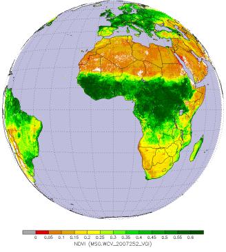 NDVI MSG