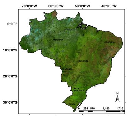 reversão da floresta é esperada.