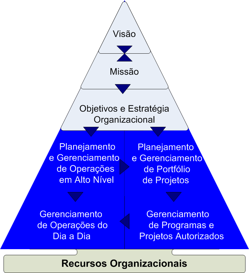 Ligação com a Estratégia Organizacional Passo VI Projetos, Programas